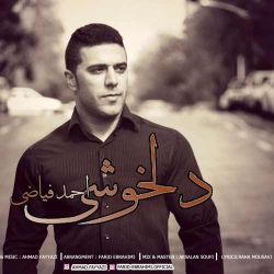 متن آهنگ شاد دلخوشی از احمد فیاضی